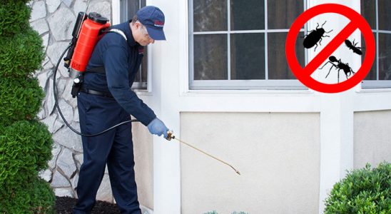 Eğil Bit İlaçlama böcek ilaçlama ve haşere kontrolü — ilaclama-tr.com